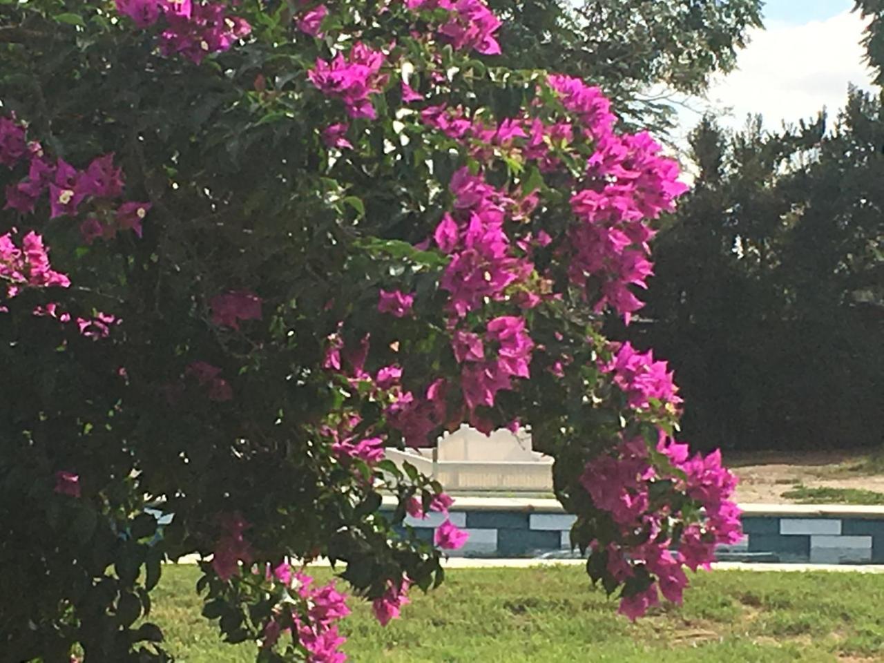 Holiday home Sweetwater
